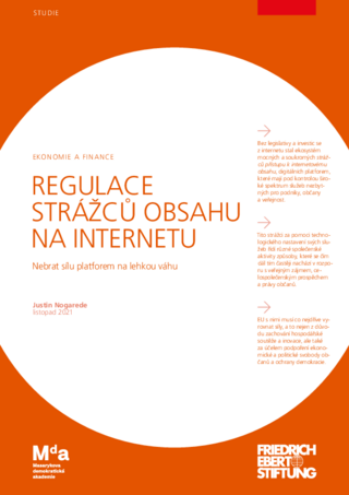 Regulace strážců obsahu na internetu