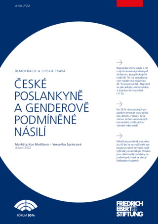 České poslankyně a genderově podmíněné násilí